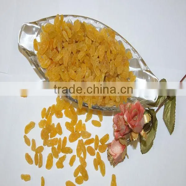New Crops Natural Seedless Golden Raisins photo-4