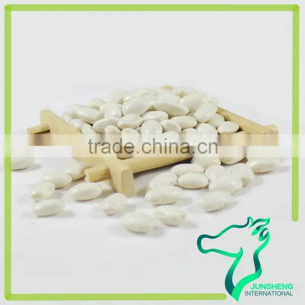 Nutritional Value Of White Kidney Beans Medium Size Square Shape White Kidney Beans photo-5