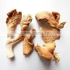 Detan Wholesale Dried Oyster Mushrooms for Customer photo-5
