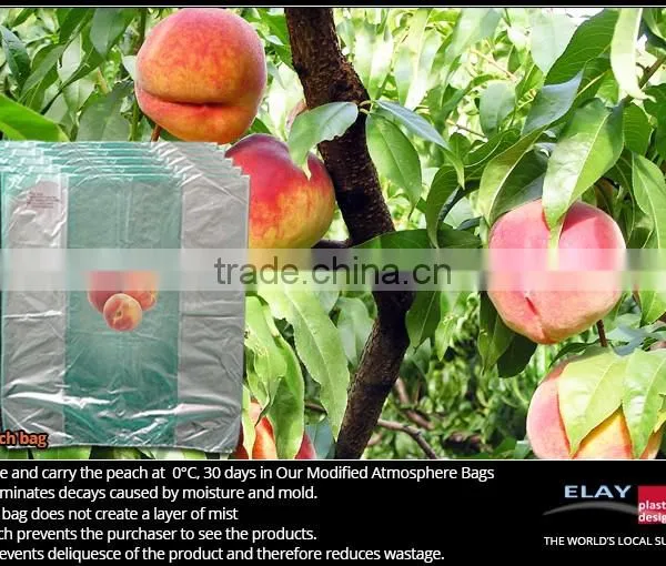 Papaya Bag photo-3