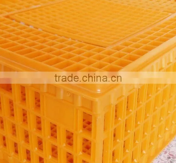 Best Quality Chicken Transport Cage , Chicken Plastick Cage, Chicken Plastic Box photo-4