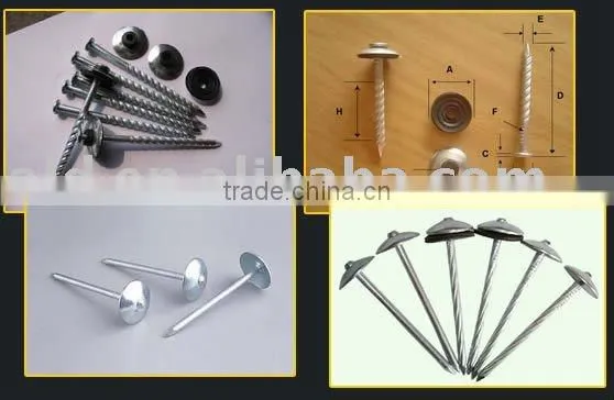 Hand Forged Nails