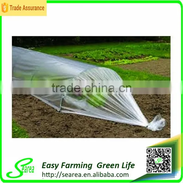 Agriculture Plastic Film for Greenhouse photo-5