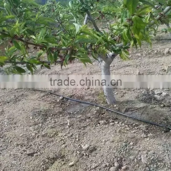 High Quality PE Pressure Compensation Drip Pipe for Irrigation System photo-2