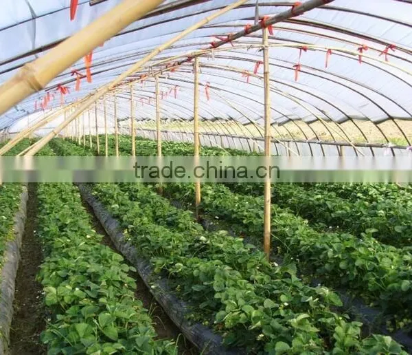 Garden Line Weed Control Cover photo-5