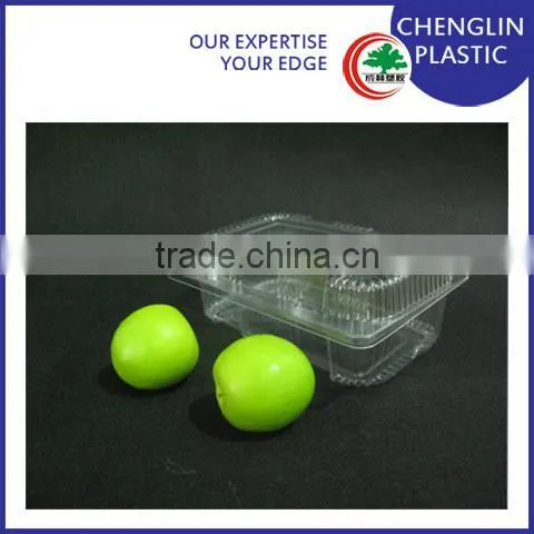Disposable Clear Vegetable and Fruit Containers
