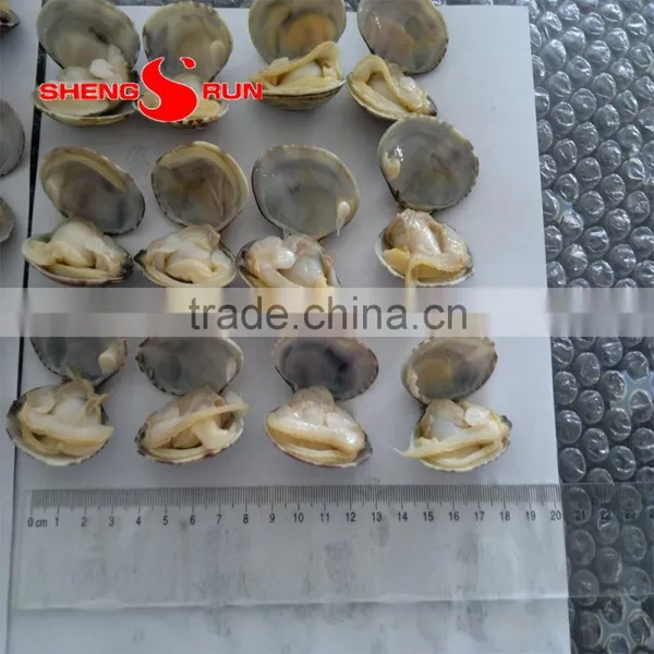 Frozen Boiled Baby Clam photo-5