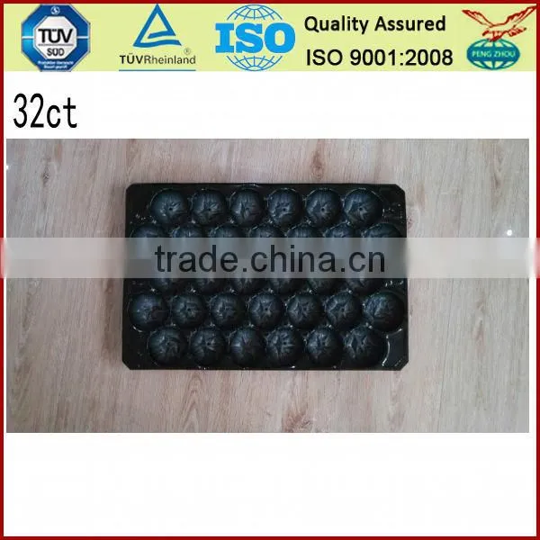 Disposable Plastic Fruit Tray Clear Disposable Plastic Pvc Fruit Tray photo-6