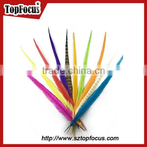 50-55cm Assorted Color Dyed Pheasant Tail Feathers photo-6