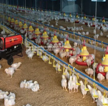 Poultry Equipments
