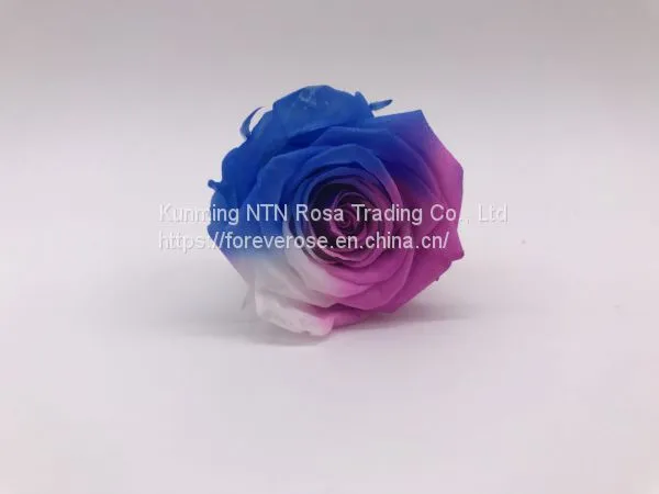Dried Flowers, Flower Box For Preserved Roses, Preserved Rose Flower