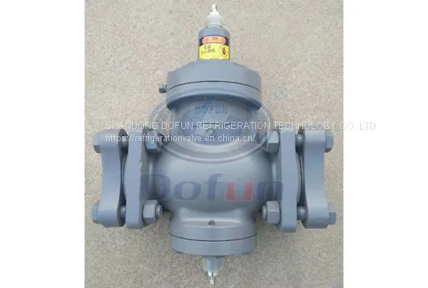 IPRV Series Inlet Pressure Regulator photo-3