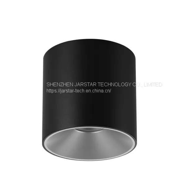 LED Surface Mounted Downlight SME Series Waterproof LED Downlight for Sale Surface Mounted Downlight Price photo-4