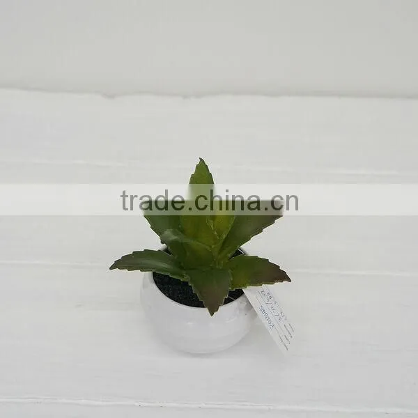 Artificial Plants EVA Plants Artifcial Aloe at Compeitive Price