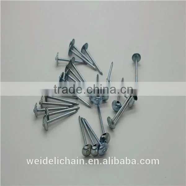 Factory Competitive Price Umbrella Head Roofing Nails photo-5