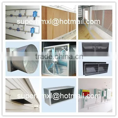 Complete Equipment for Broiler Poultry House photo-3