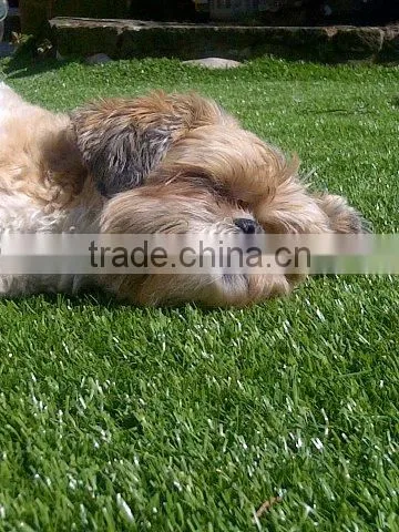 V Shape Four Color Outdoor Landscaping Synthetic Grass photo-2