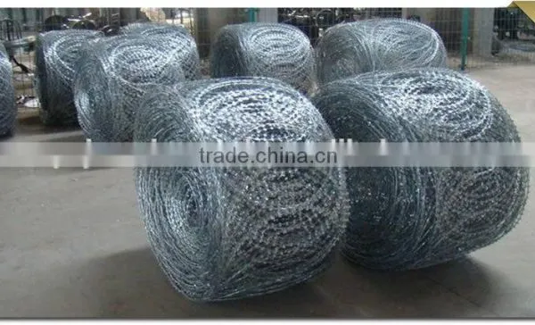 Flat Type Razor Wire photo-2