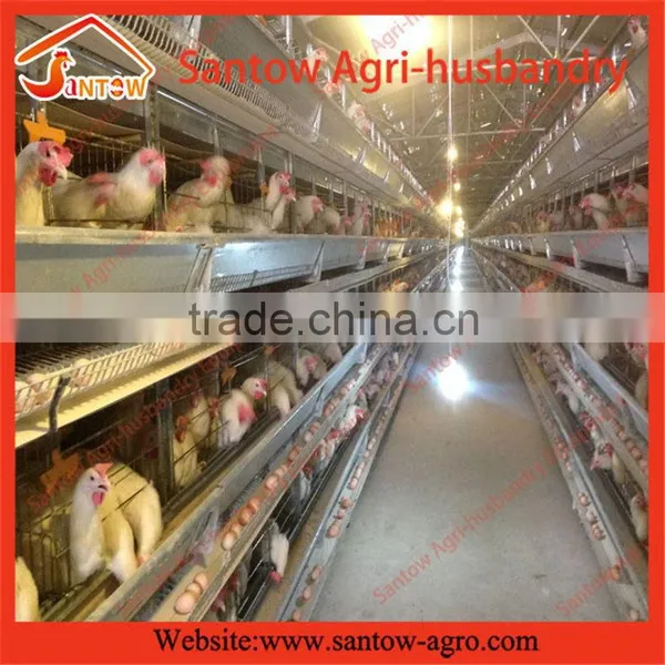 Stable Steel Structure Professional Chicken Egg Layer Cage Pakistan Poultry Farming Equipment photo-2