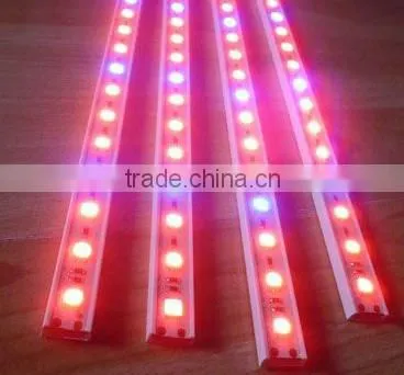 DC 12V 5050 SMD Rigid RGB Led Strip Light for Christmas Ornament With CE RoHs photo-2