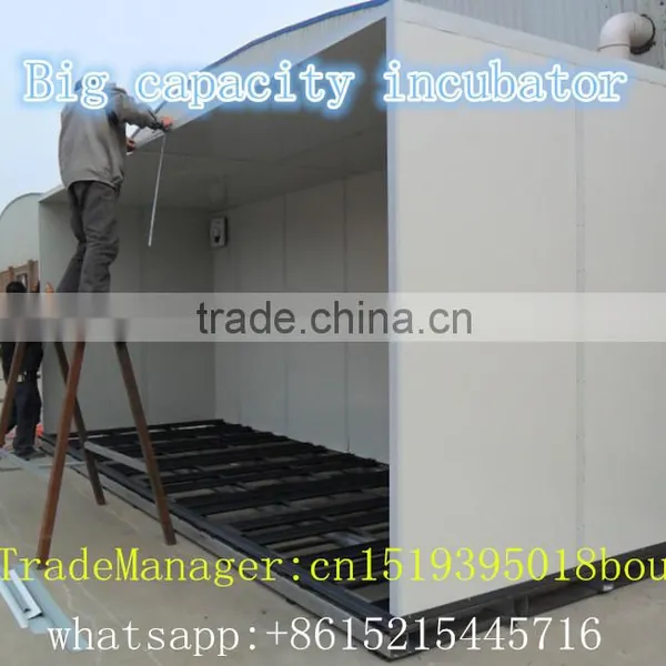 50000 Eggs Incubator Full Auto/50688 Chicken Egg Incubator/ZH-50688 Poultry Incubator photo-3