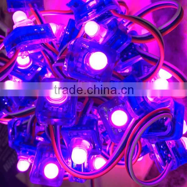 Programmable Smd 5050 Ws2811 Addressable Shenzhen 12mm Digital Rgb Led Pixels photo-3