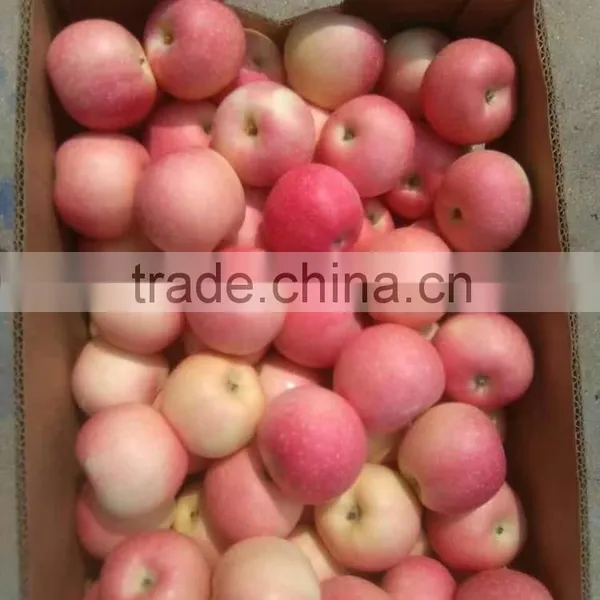 Fresh Red Gala Apple photo-2