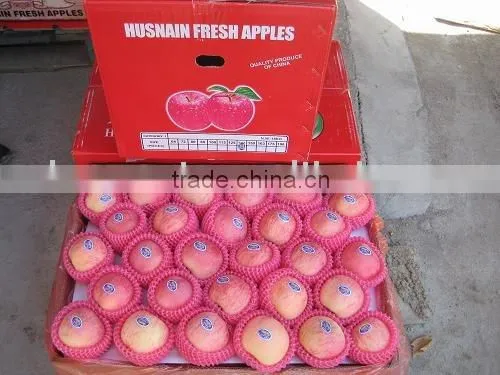 Fuji Apple