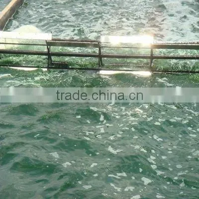 2015 Healthy Algae Spirulina for EU & USA Market photo-5