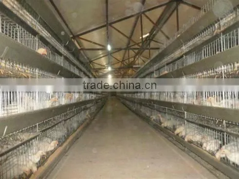Design Layer Chicken Cages Chicken Cage