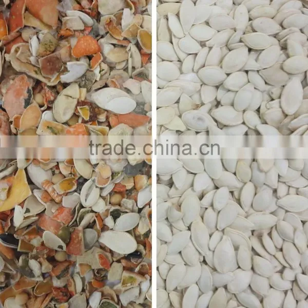 Oil Seed Color Sorter/agricultural Seed Separator/seeds Sorting in Shenzhen photo-3