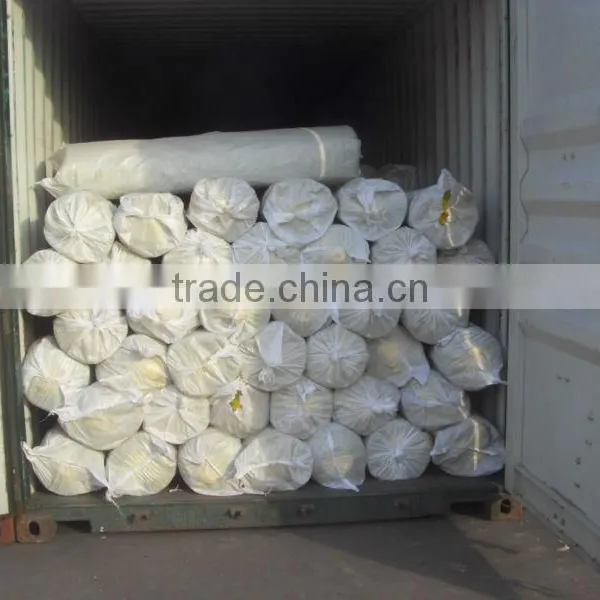 LDPE Clear Builder Film in Roll