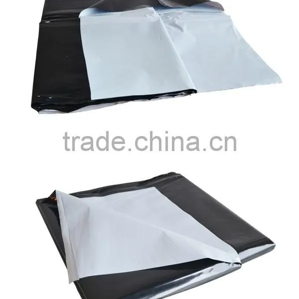 Custom High Quality Clear Mylar Film Roll photo-4