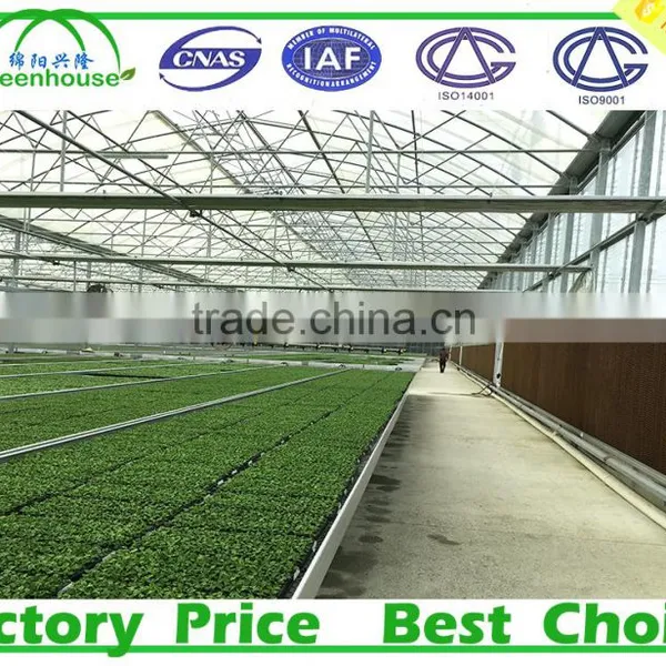 Polycarbonate Greenhouse Siding photo-4