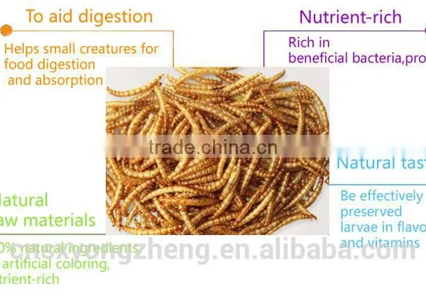 Dried Pet Food 100% Natural Wild Bird Food Microwave Dried Mealworms photo-2