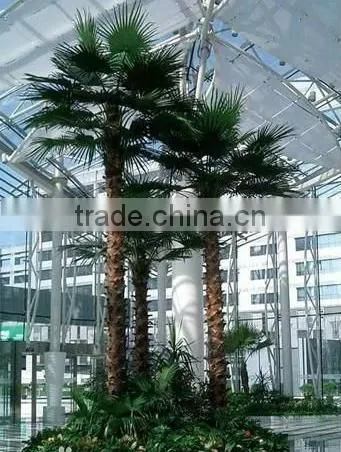2017 Best Price Artificial Outdoor Palm Tree Plastic Palm Tree photo-5