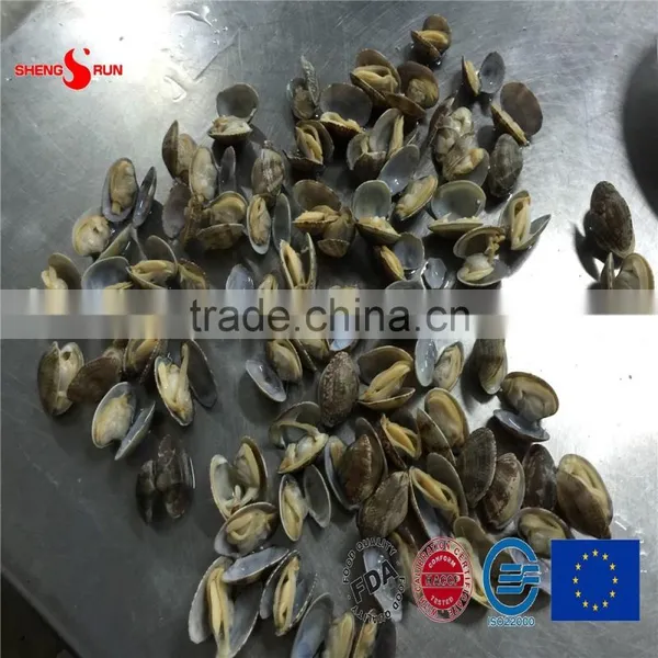 2015 New Cooked V-packed Baby Clam photo-2