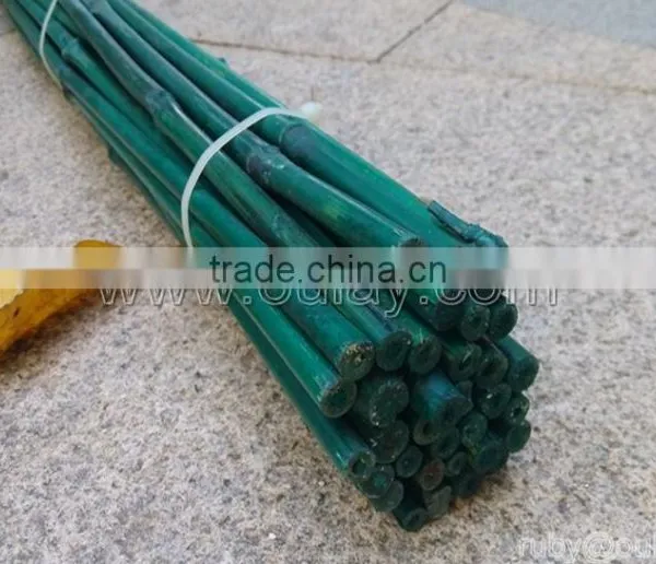 Dyed Different Colors Bamboo Sticks for Garden&agriculture photo-2
