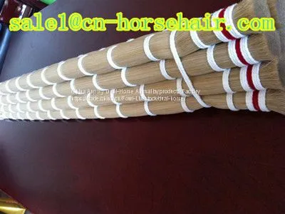 Horse Hair photo-4