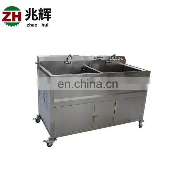 Hot Sale Stainless Steel Blueberry Fruit Washing Machine Lemon Washer photo-4