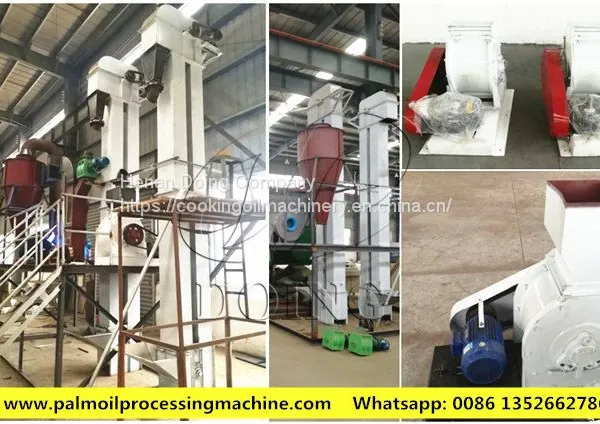 Doing Brand Palm Kernel Process Machine to Get Complete Palm Kernel With High Efficiency photo-3