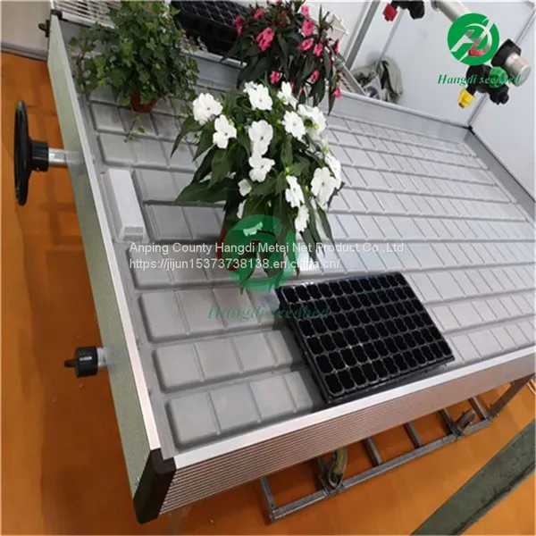 Agricultural Planting Rolling Bench Ebb and Flow Tray Tobacco Seedbed in Greenhouse photo-5