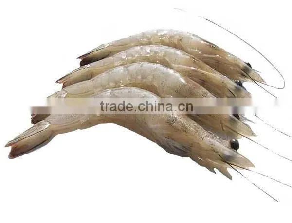 Frozen Vanamei Shrimp photo-2