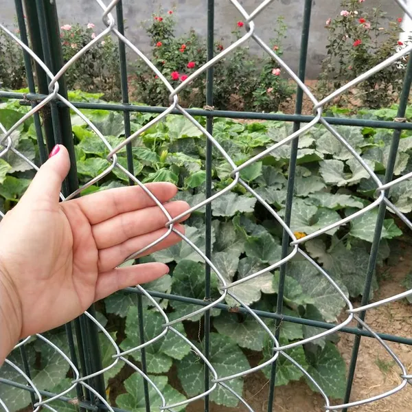 Hot Dip Galvanized Chain Link Fence Mesh in Custom Heights and Mesh Sizes