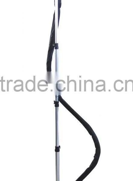 818T Garment Steam Iron(detachable Lever)
