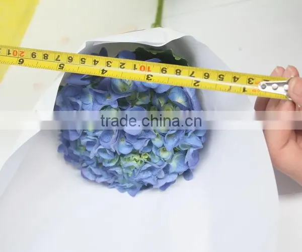 Fresh Factory Direct Flower Hydrangea photo-2
