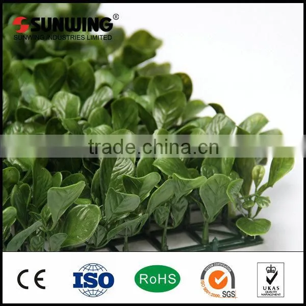 Cheap Artificial Boxwood Outdoor Screen Hedge Garden Fence Quality Choice photo-6