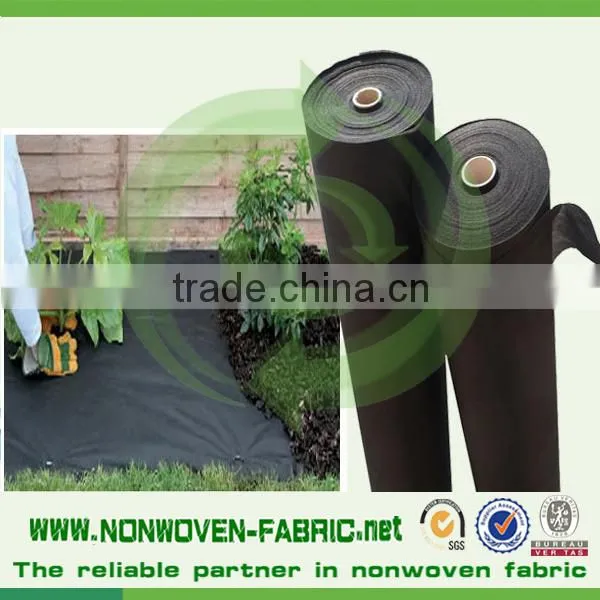 Anti-UV Treatment pp Spunbond Nonwoven Fabric Agriculture Cover/pp Spunbond Tunnel Supplier's Choice photo-6