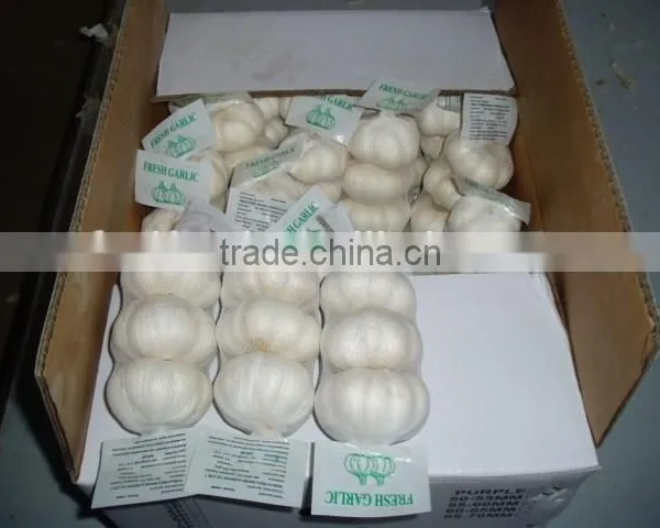 Fresh White Garlic photo-6