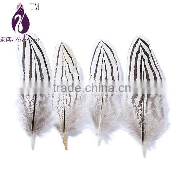 duck feathers for sale